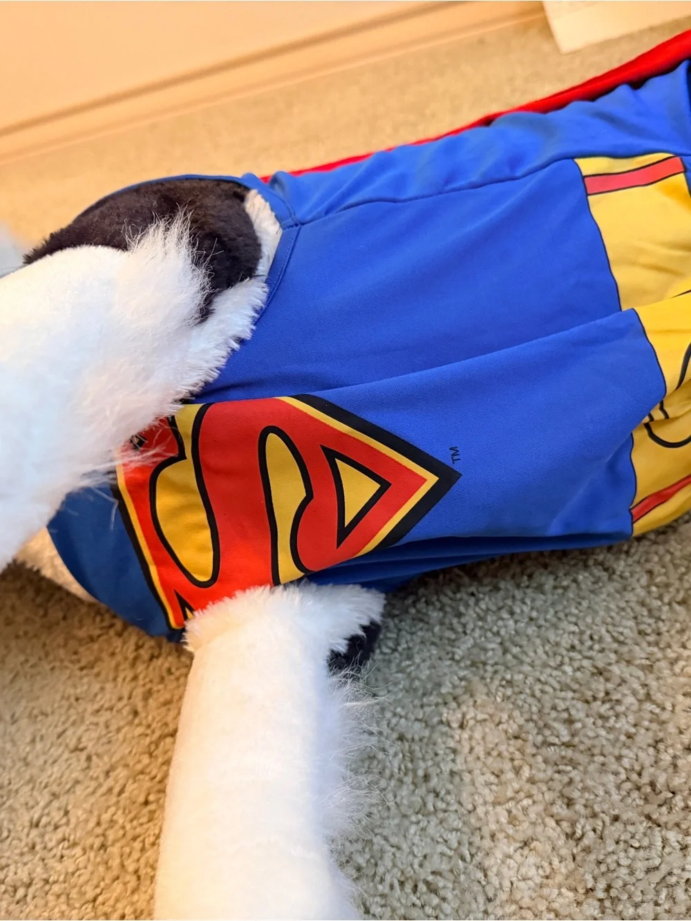 Superman Dog Costume XXL | DC Comics Pet Halloween Cape Shirt